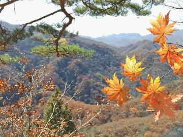 溧水县水利局最新动态报道