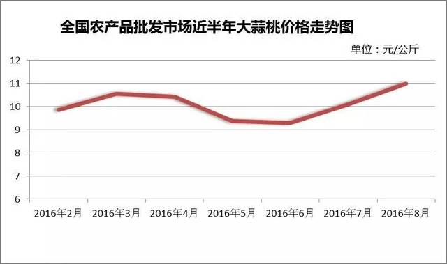 大蒜市场价格最新走势分析