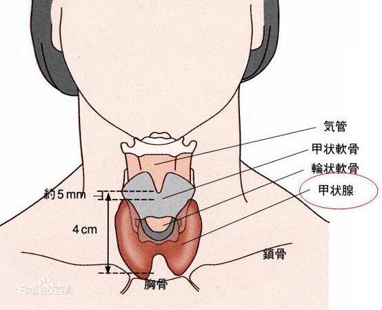 解决方案 第164页