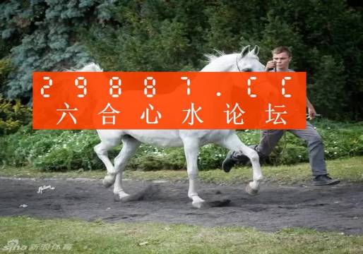 7777788888精准跑狗图,实地方案验证_GT37.924