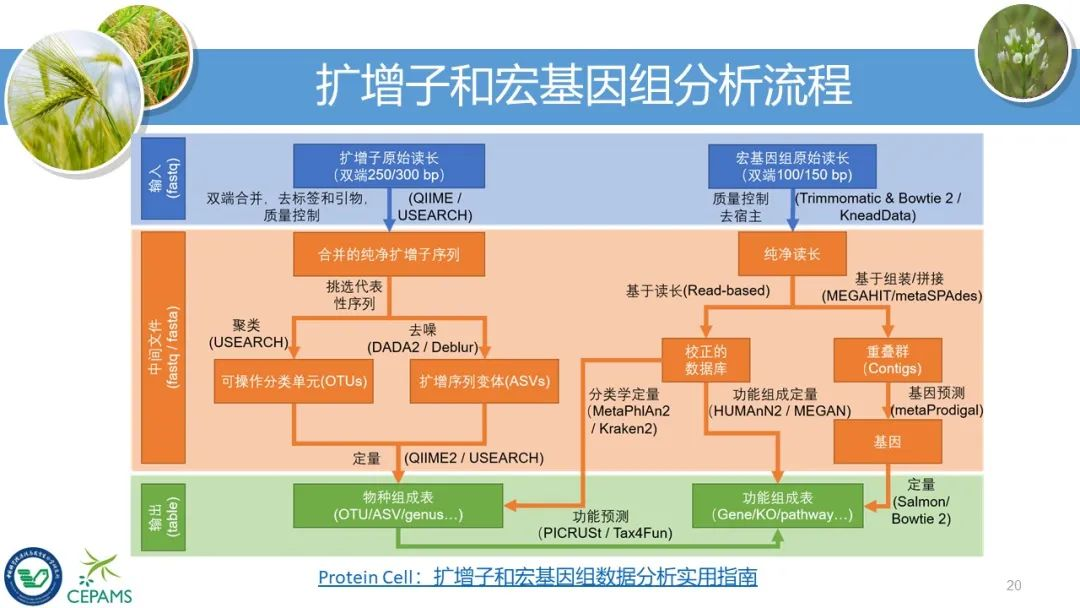 2024年澳门开奖结果,标准化流程评估_1080p31.48