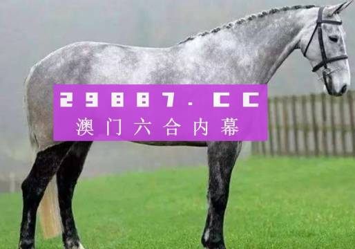 2024澳门特马今晚开奖图纸,诠释说明解析_旗舰款46.229