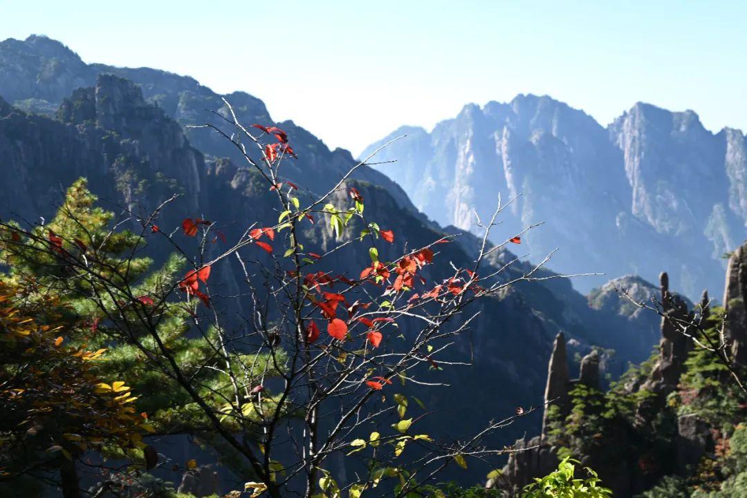 两天一夜收视率揭晓，热门节目魅力与观众热烈反响