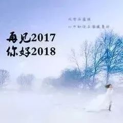 揭秘2017年最新趋势与变化，深度探索与发现分析