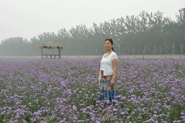 热门小说推荐，领略文学风采，带你走进文学世界