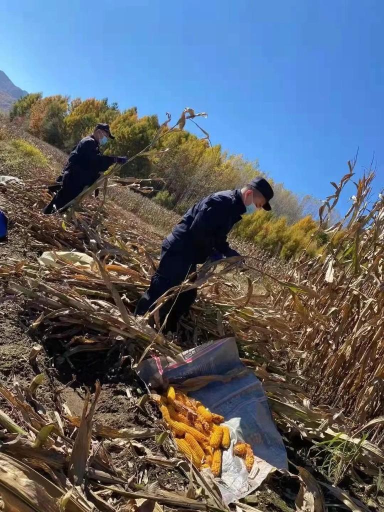 丰满区公安局深化警务科技化项目，提升社会治安水平