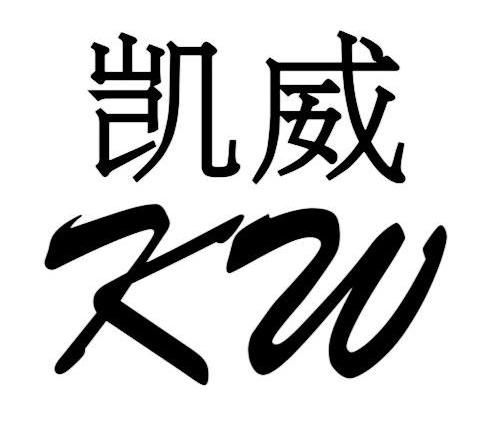 凯威最新综合测评报告，性能、设计与用户体验全面评价