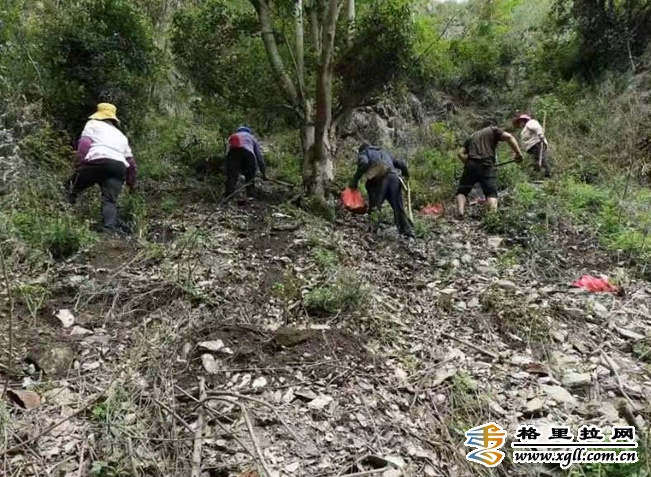 加嘎村最新动态，进步与繁荣的见证