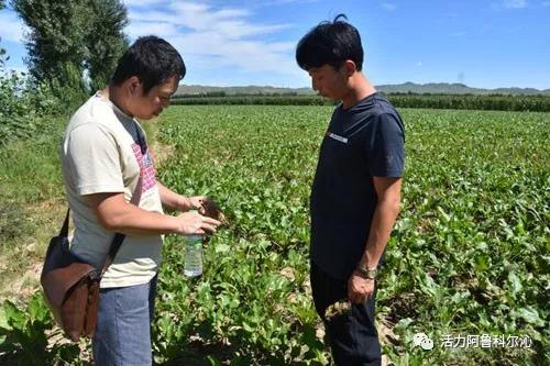 那巴村迈向繁荣与和谐共生的未来发展规划