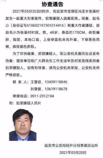 胖村最新人事任命动态与影响分析