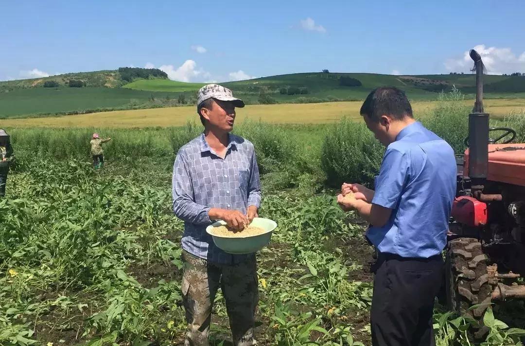 嫩江县级公路维护监理事业单位最新项目深度研究