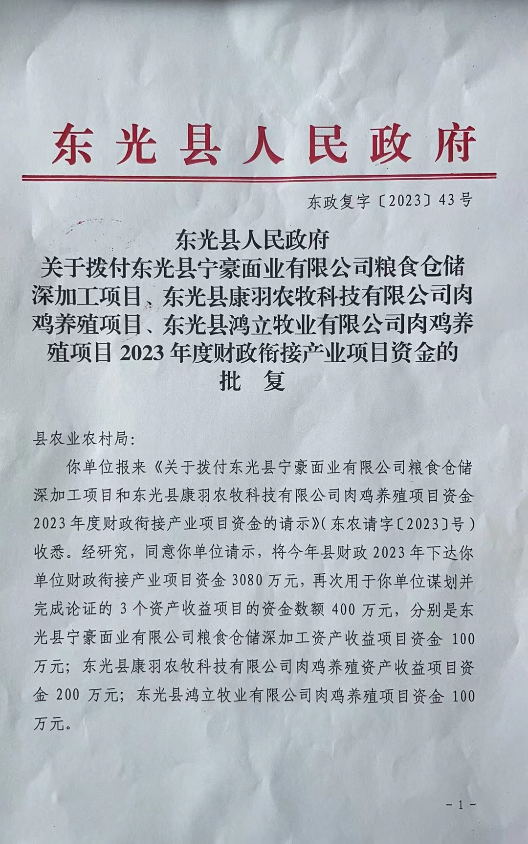 东光县人民政府办公室最新招聘详解