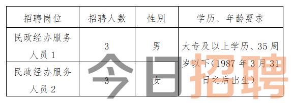 沛县民政局最新招聘信息全面解析