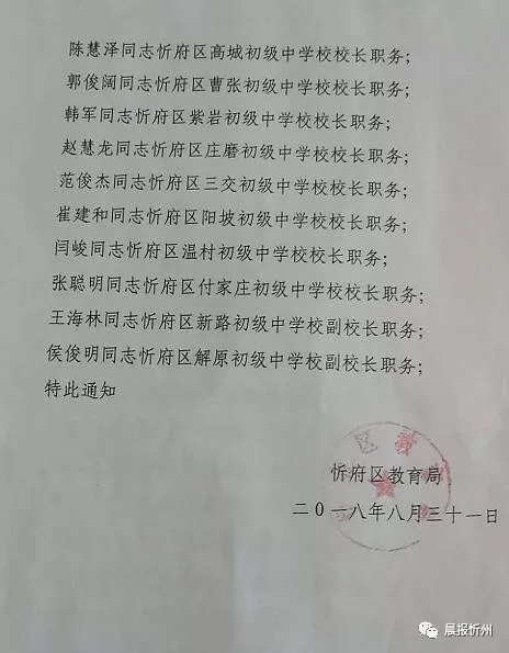 沙市区教育局人事调整重塑领导力量，推动区域教育新发展