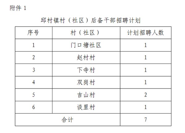 府城村委会最新招聘信息全面解析