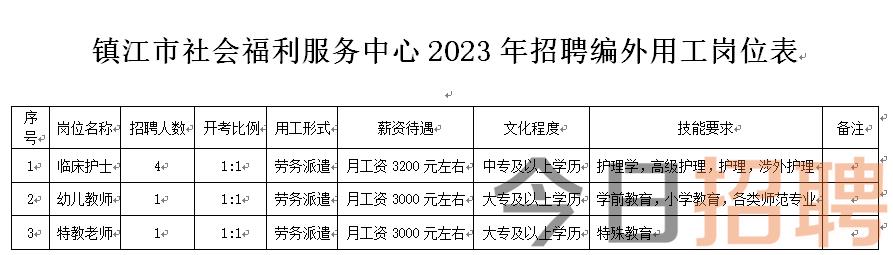 迎江区统计局最新招聘概览