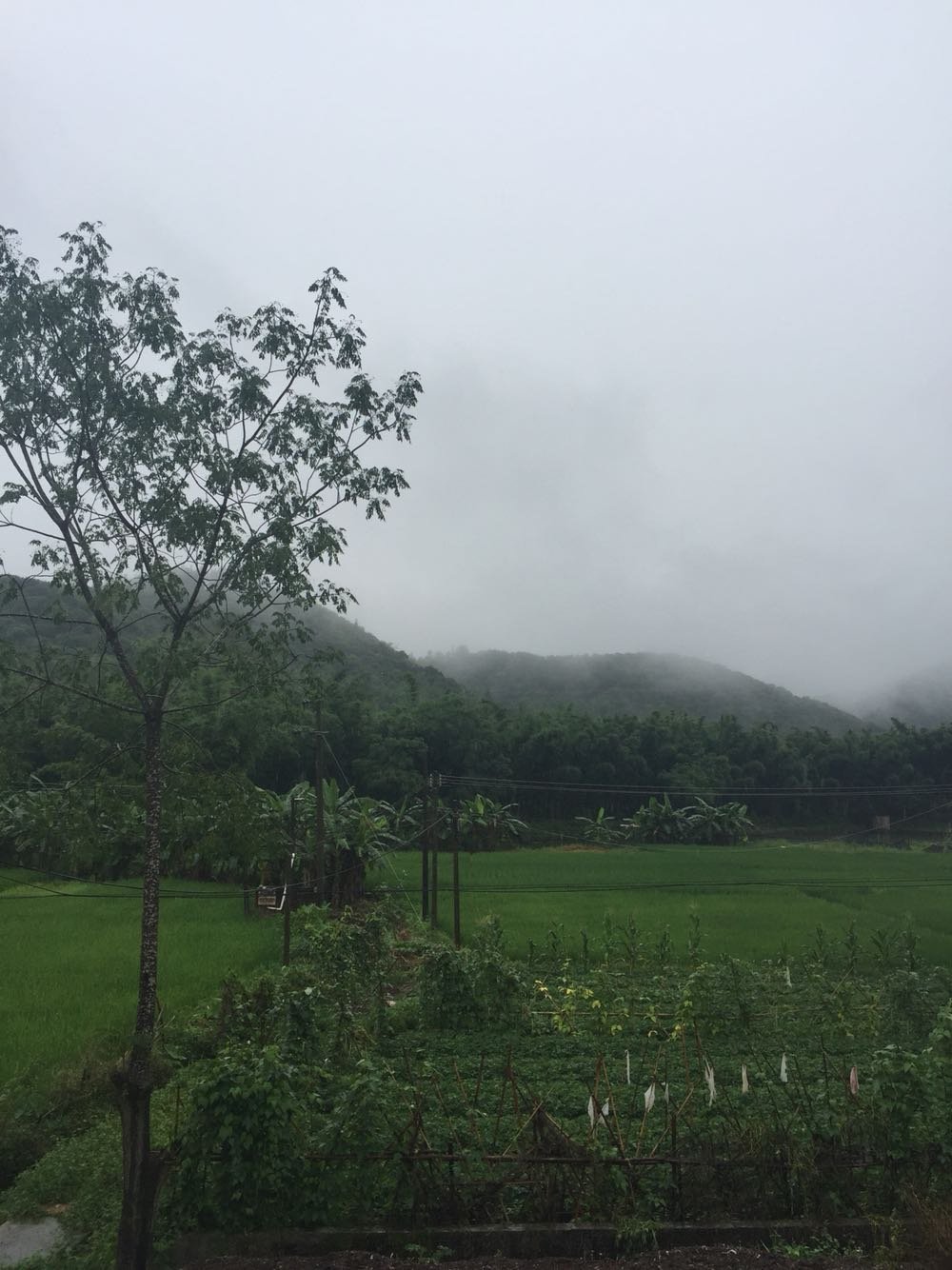 靠山种畜场天气预报更新通知