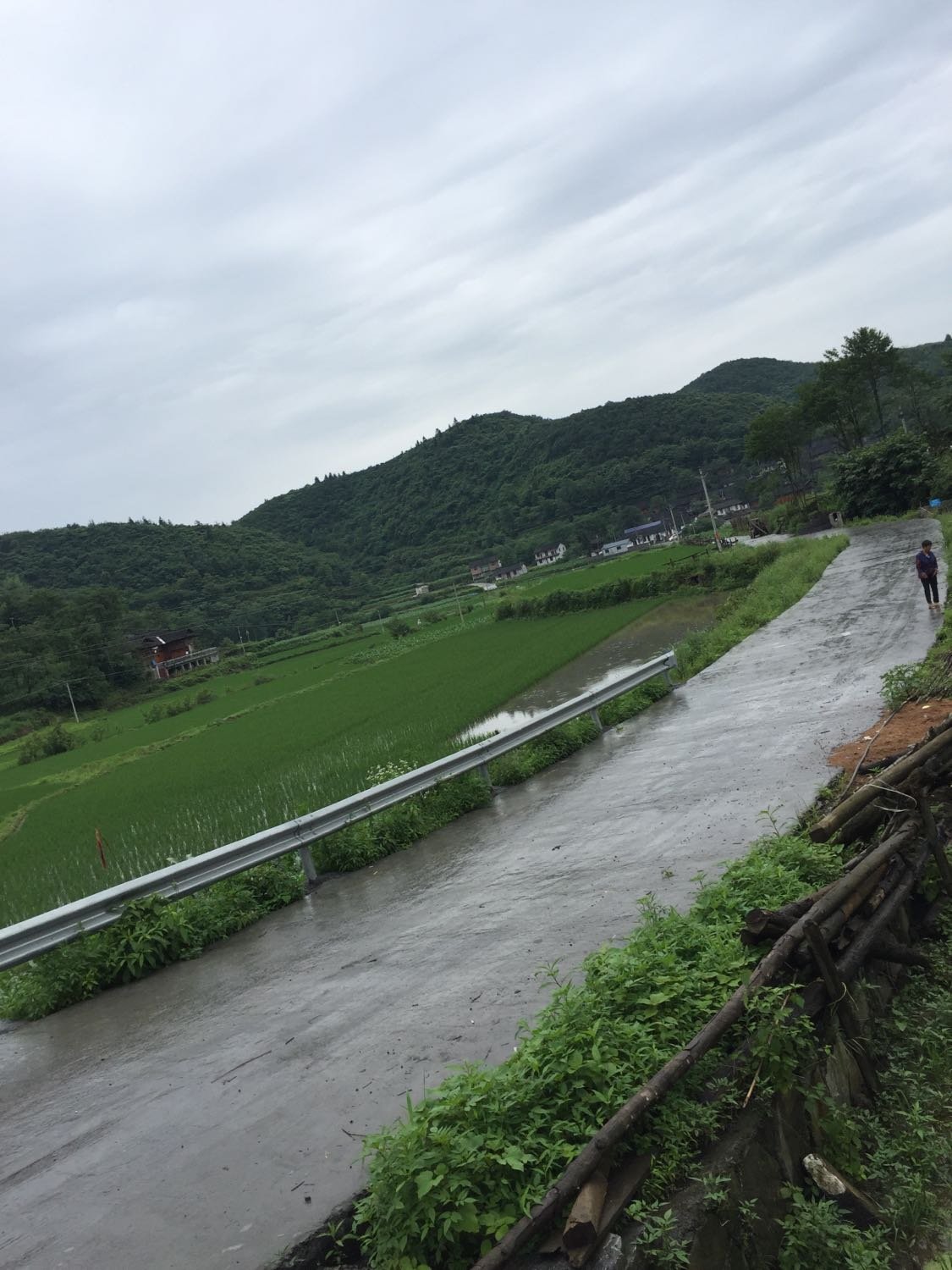 洞井镇天气预报更新通知