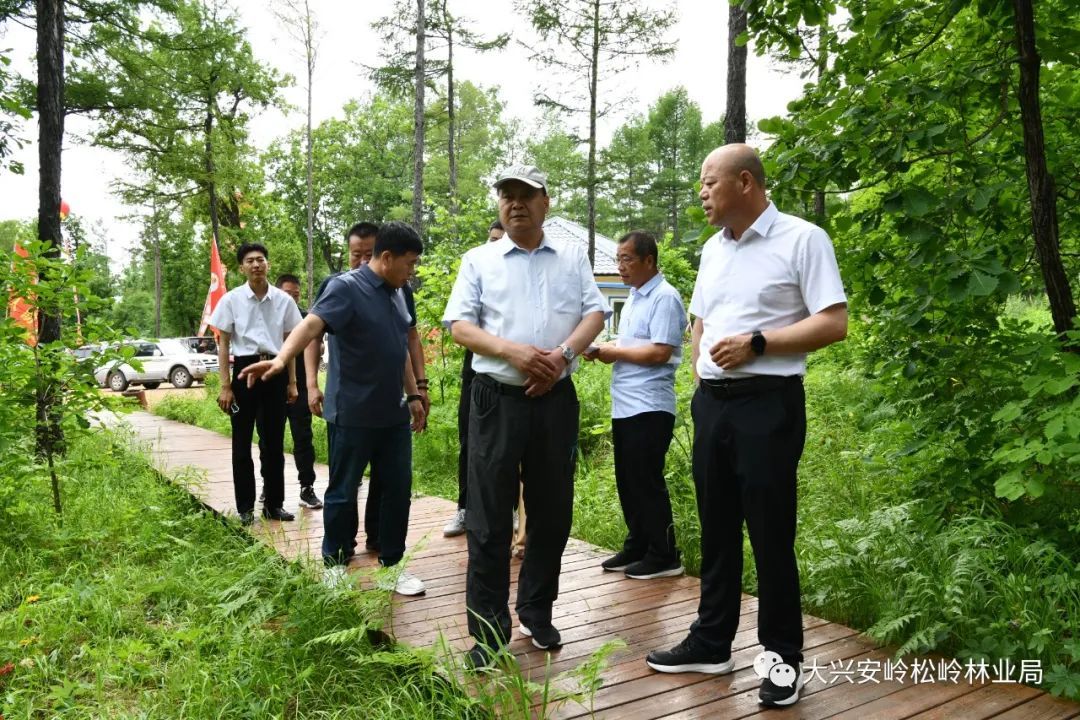 松岭林业局发展规划，迈向绿色可持续发展之路