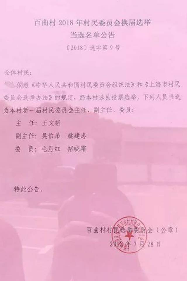 王马村委会人事大调整，重塑领导团队，村级发展新篇章