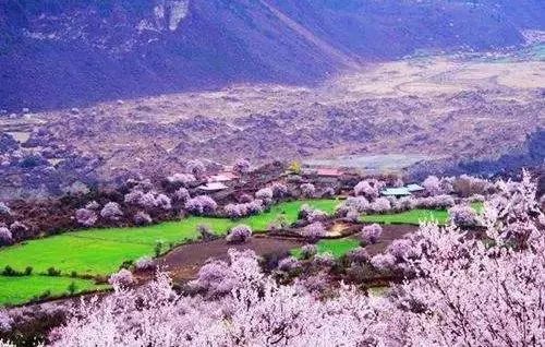 查巴村今日天气预报通知