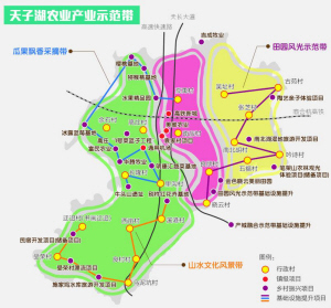 司庄乡最新发展规划，塑造乡村繁荣新蓝图