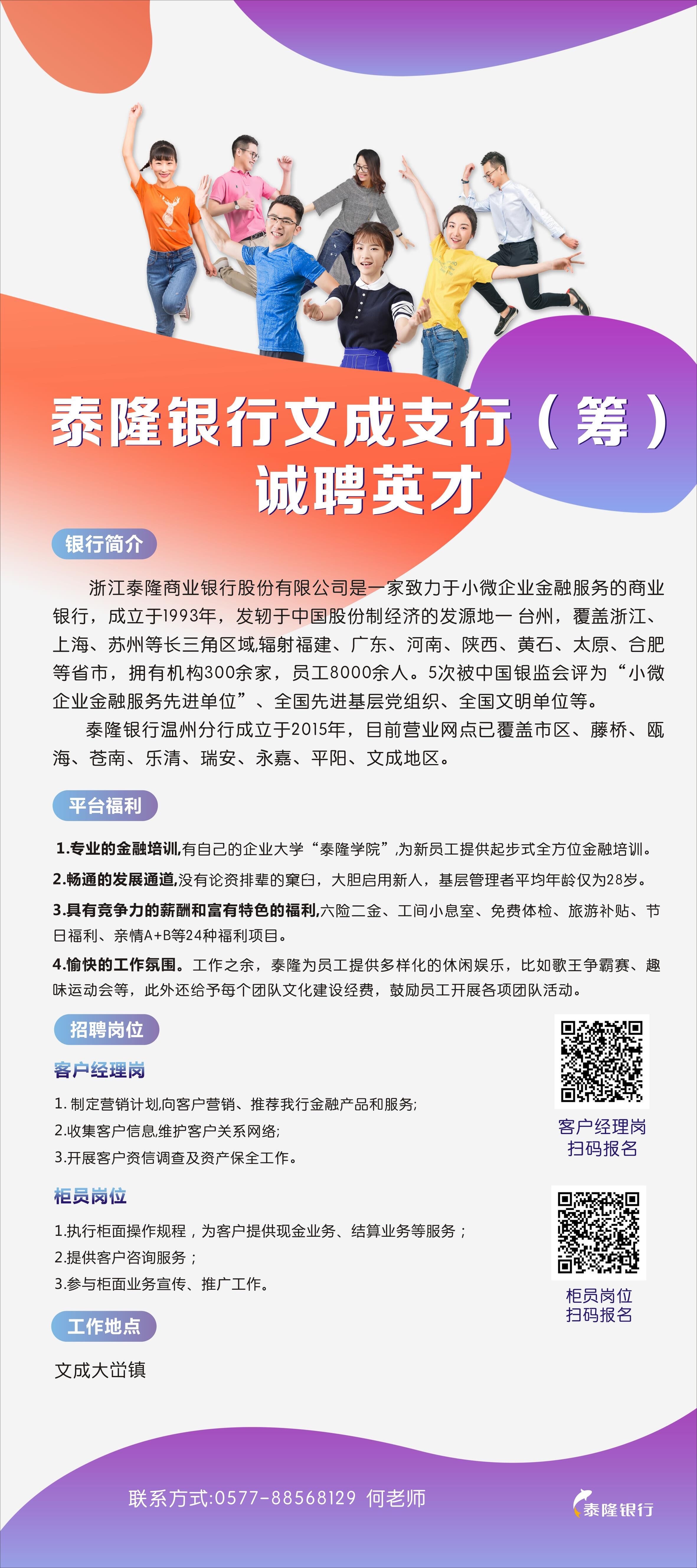 文成县审计局最新招聘公告详解