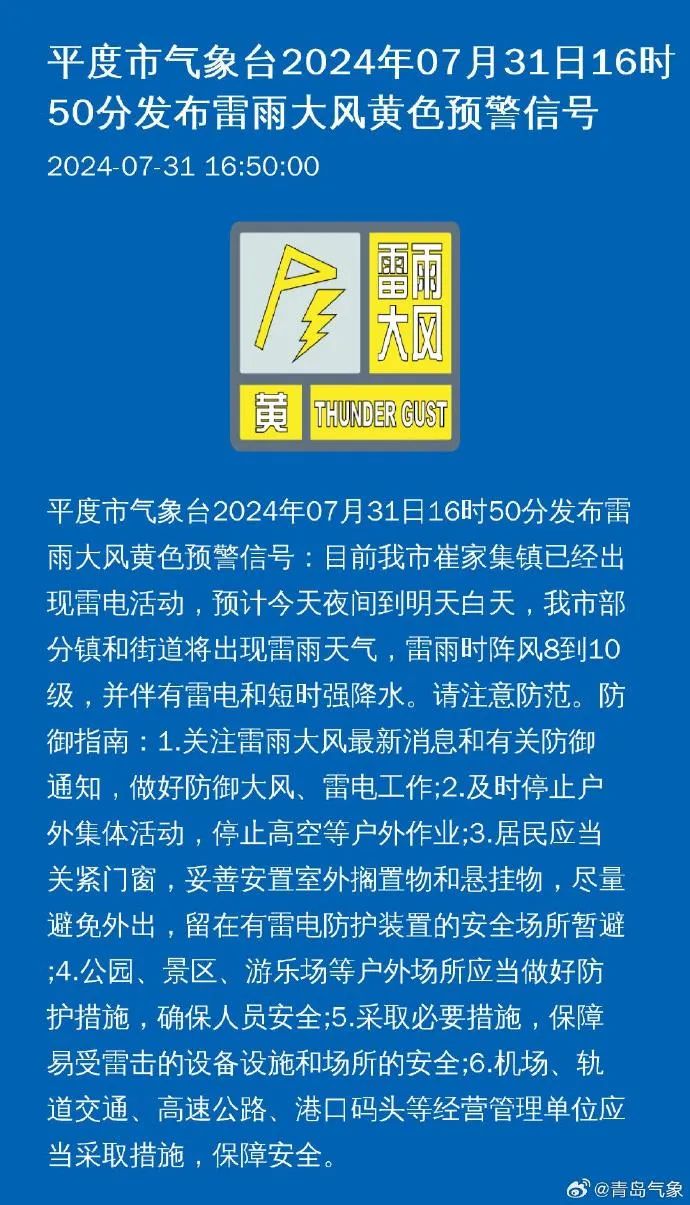 金家庄区统计局最新招聘信息与职业机会深度解析