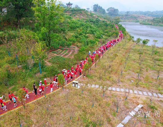 西塞山区自然资源和规划局最新动态报道