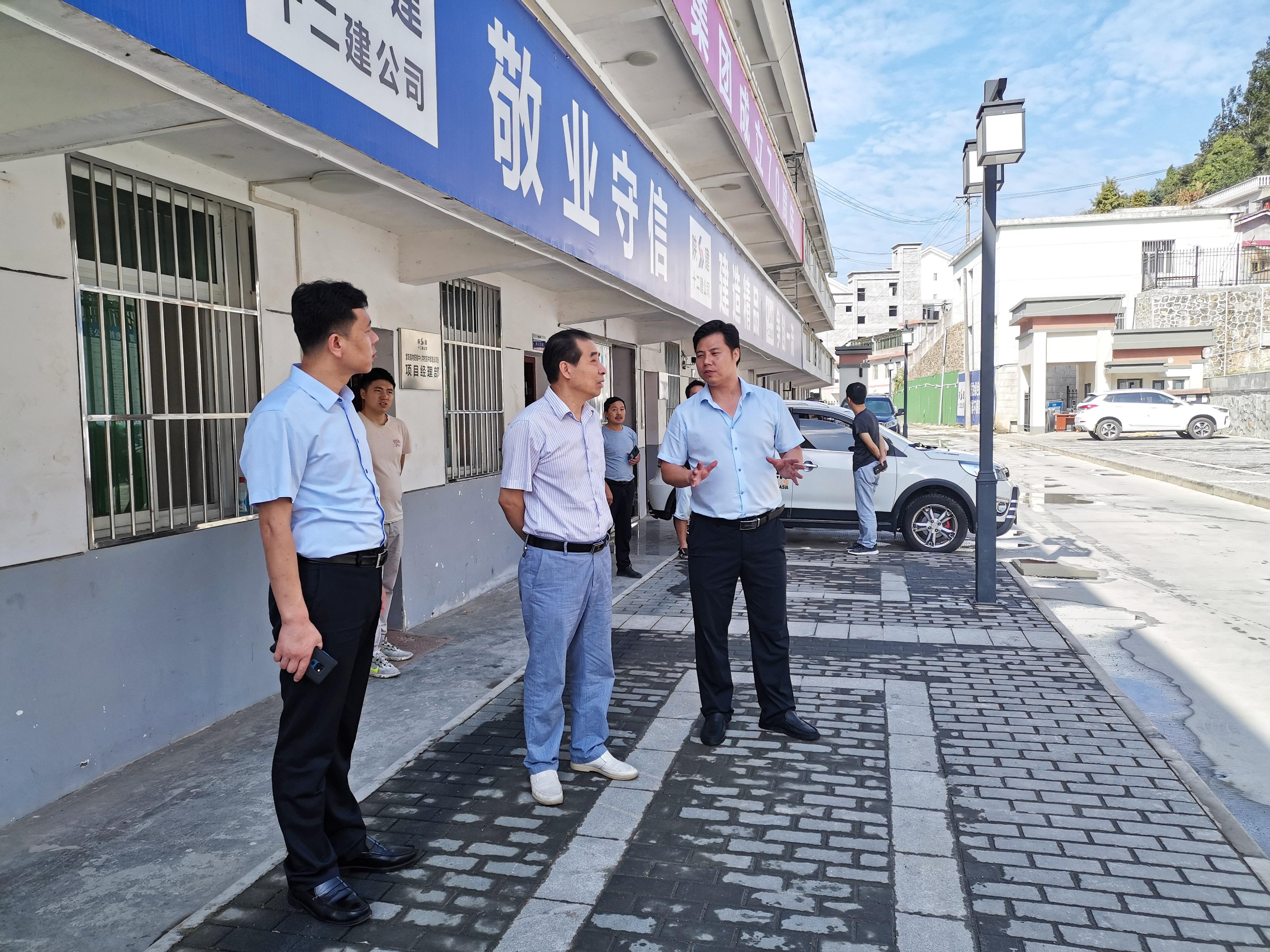 向阳镇未来繁荣新蓝图，最新发展规划揭秘